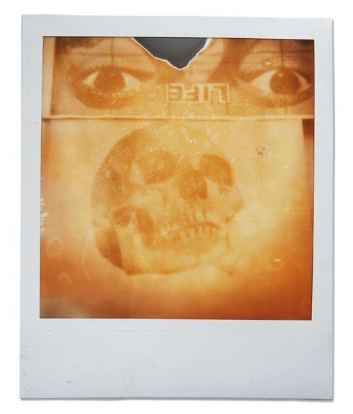Life_gutermuth_2011